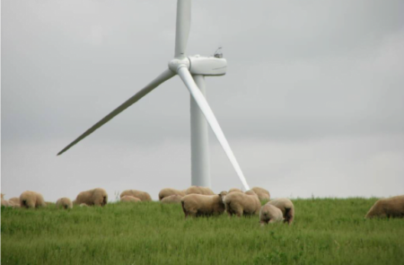 Food giants shoot for 100% renewable energy target wind sheep