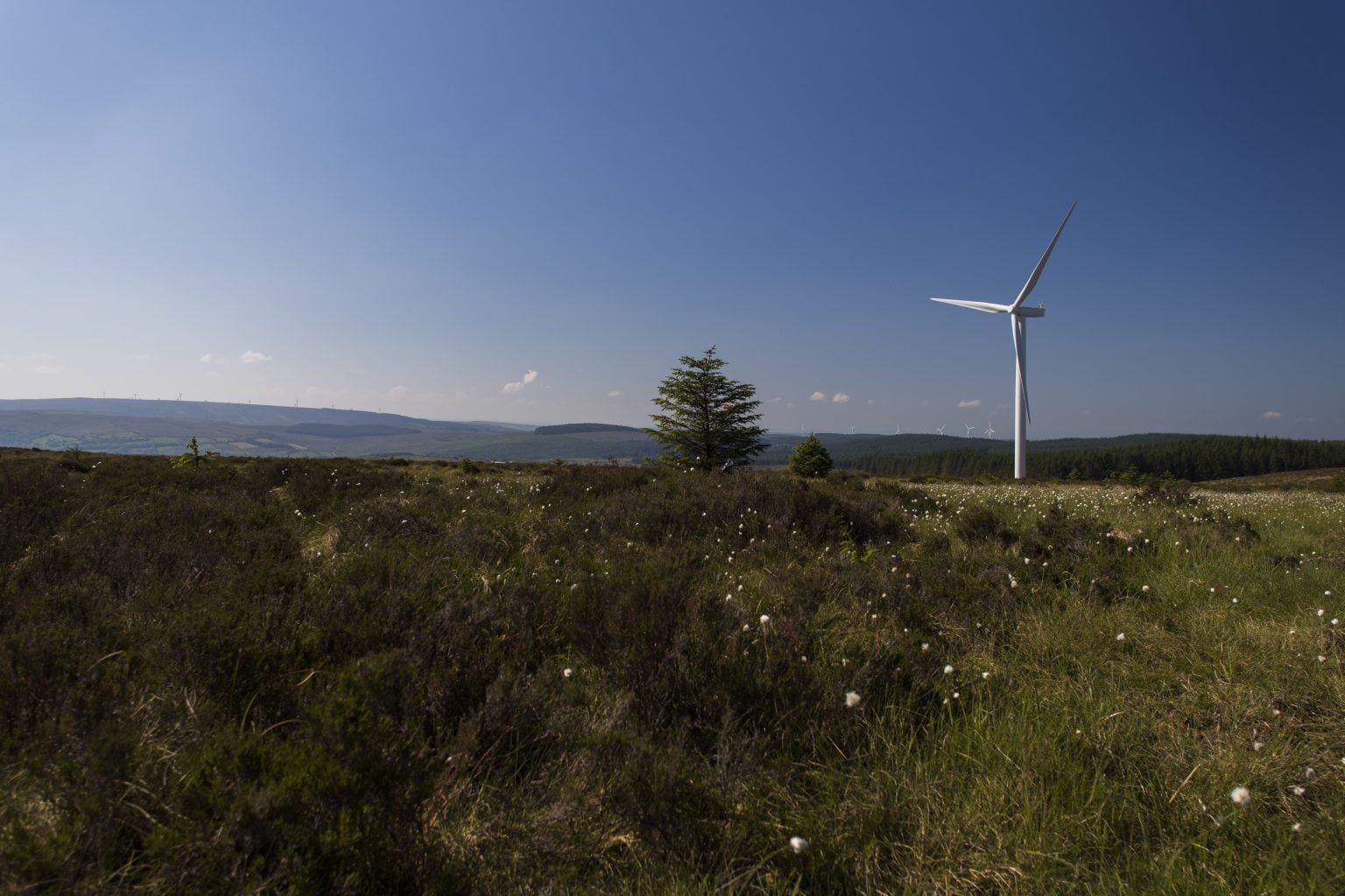 Financial officers lead the renewables revolution Castlecraig scaled