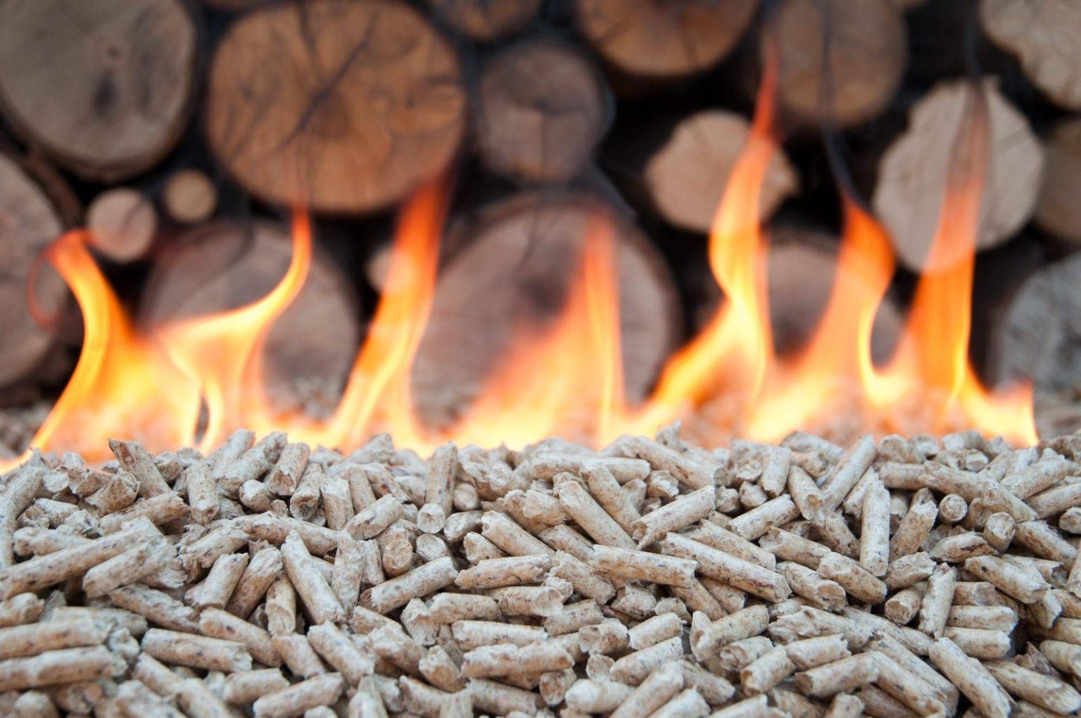 Bioenergy heat pathways to 2050: rapid evidence assessment biomass heat