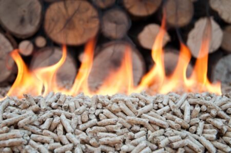 Bioenergy heat pathways to 2050: rapid evidence assessment biomass heat