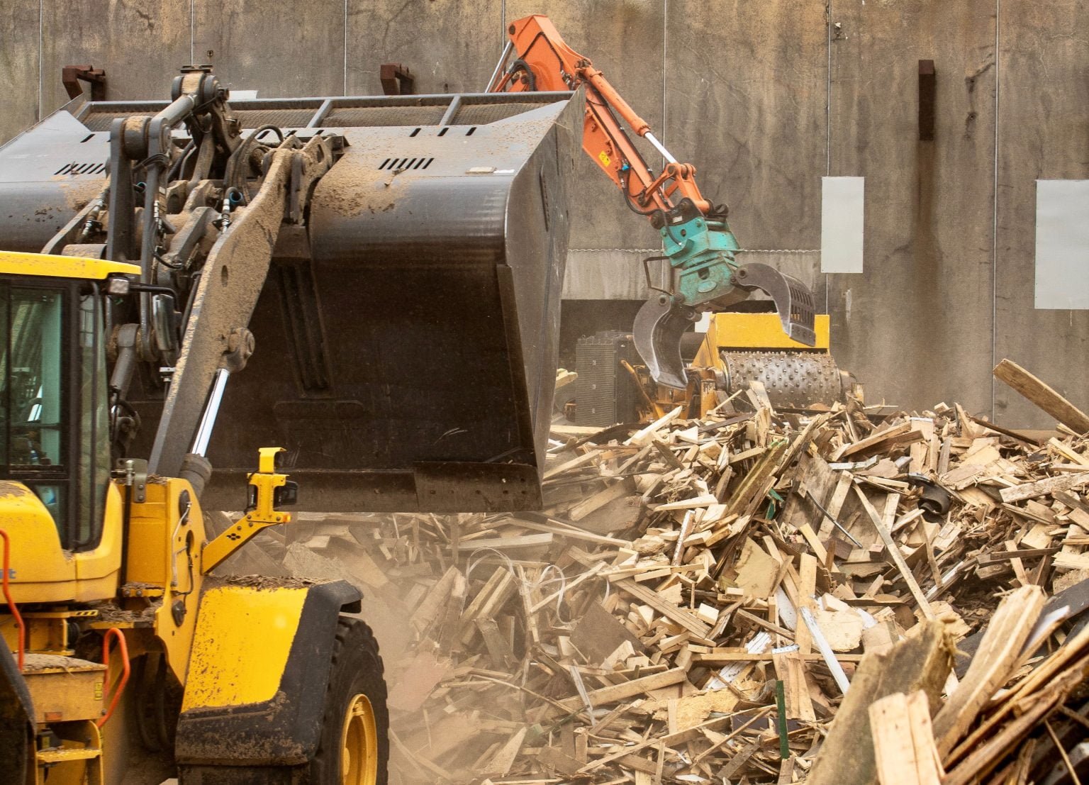 Waste Wood ill 2 scaled