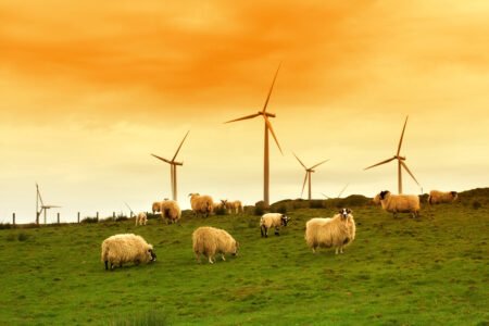 Blogs & Opinion: Wind of Change – How the renewable energy revolution is creating a lucrative opportunity for battery storage in Scotland renewables scotland flexitricity battery storage scaled