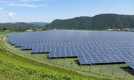 TLT advises renewable energy developer on solar partnership ground mounted solar