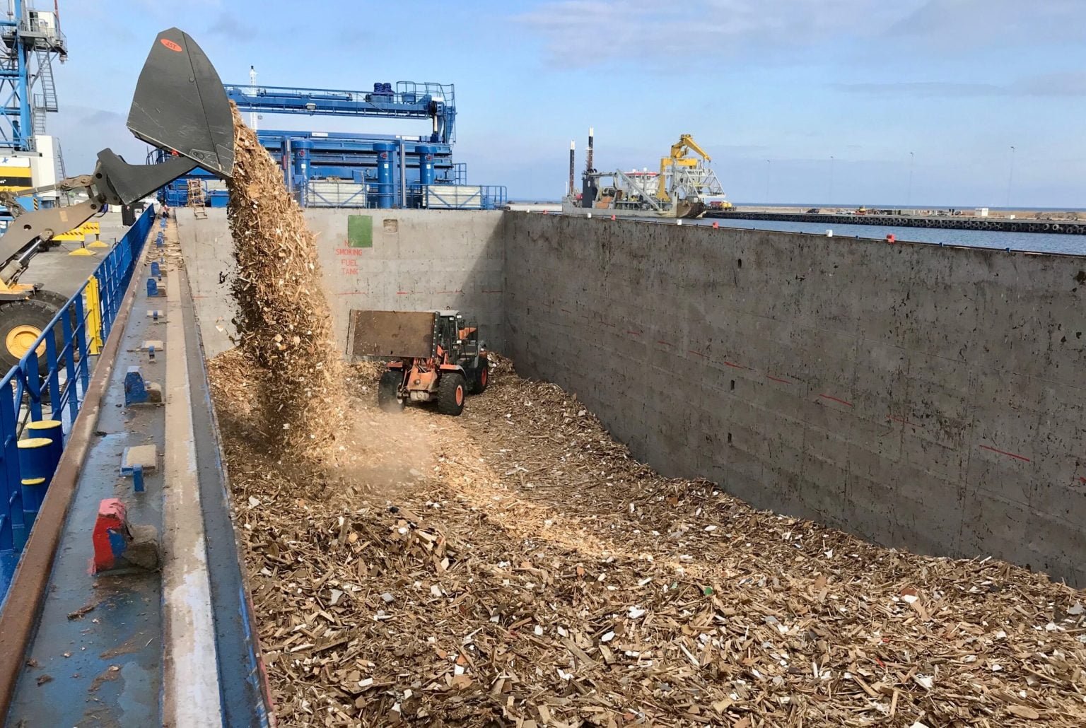 Geminor crushed Wood scaled