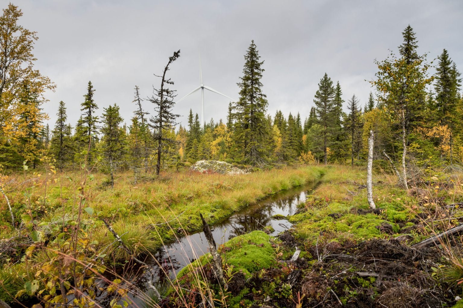 SGRE wind farm in Sweden scaled
