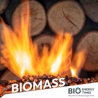 Haffner Energy and Bambbco sign partnership based on improving availability of biomass for energy applications