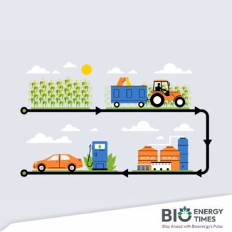 Biodiesel B50 expansion could require 9.2 million hectares of new palm oil plantations: Rector of Bogor Agricultural University