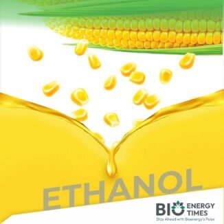 Assam: For ethanol industry, requirement of maize increased considerably, says CM Assam: For ethanol industry, requirement of maize increased considerably, says CM