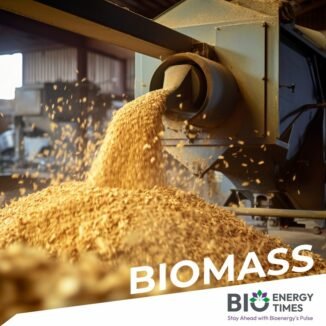 New Energy Risk and Ecostrat announce partnership to develop biomass Feedstock Supply Insurance