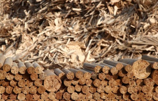 RExus Bioenergy receives loan for Google powering biomass plant