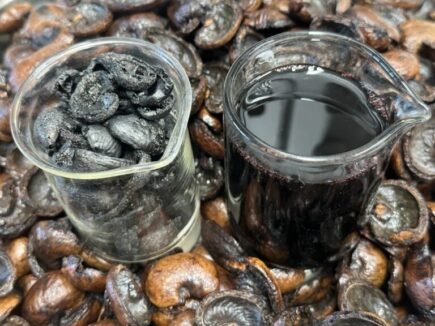 Discarded nut shells transformed into biofuel and biochar